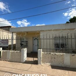 WhatsApp Image 2025-11-04 at 15.51.45 (4)