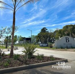 WhatsApp Image 2025-07-21 at 15.15.56