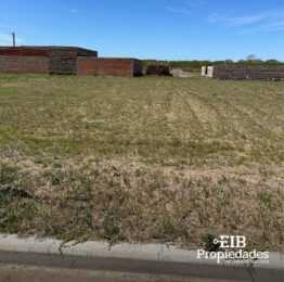 WhatsApp Image 2025-07-21 at 15.16.01 (1)