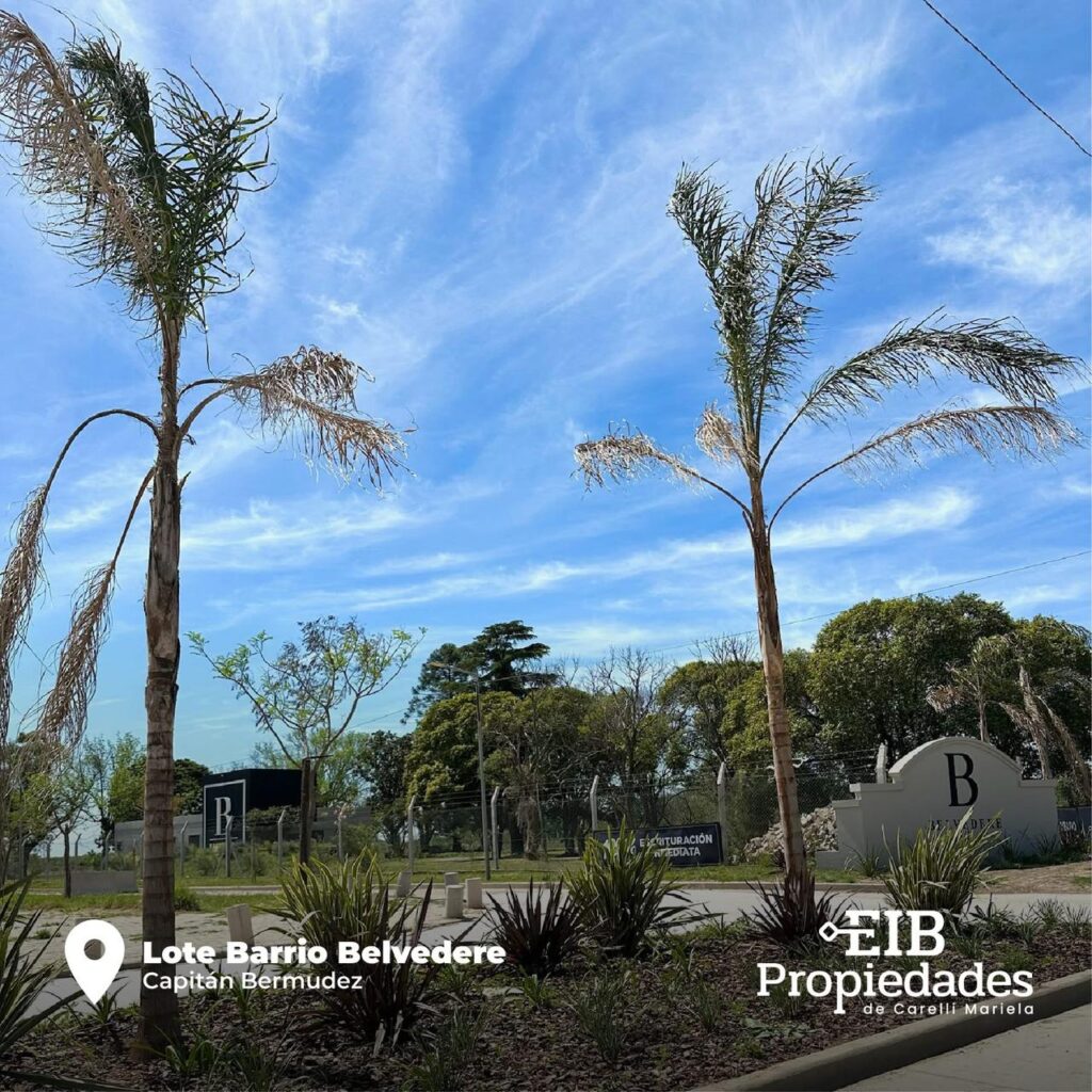 Whatsapp image 2025 07 21 at 15.16.01 (2)