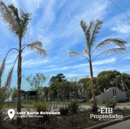 WhatsApp Image 2025-07-21 at 15.16.01 (2)